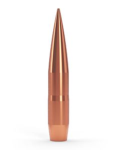 Coubertin Bullets .375 (9.55mm) 407grs Solid Tip TWENTY-NINE