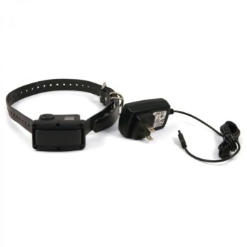 12144 Sportdog