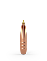 Crockett bullets 6mm (6.17mm) 76grs pointed tip TWENTY-NINE