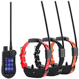 Sportdog 2.0 2025