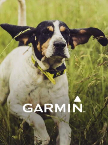 Garmin