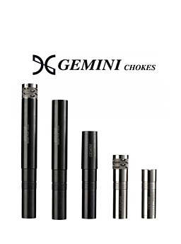 Gemini